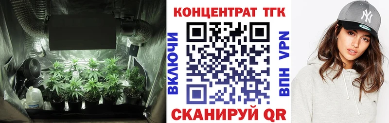ссылка на мегу   Калачинск  ТГК Wax 