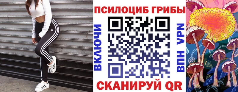 цена Калачинск ОМГ ОМГ tor Псилоцибиновые грибы мицелий